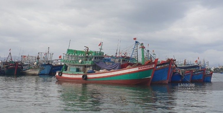Khanh Hoa continue d'accroître la surveillance de la flotte de pêche après la recommandation de la Commission européenne (CE) sur la lutte contre la pêche INN (photo prise au port de Hon Ro, quartier de Nha Trang en 2025). Photo: Phuong Linh