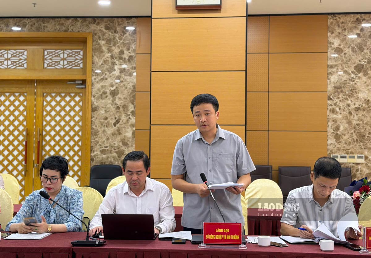 Mr. Nguyen Nhu Hanh, Deputy Director of Quang Ninh City Department of Agriculture and Environment, provides information on marine farming planning at the press conference in September. Photo: Doan Hung