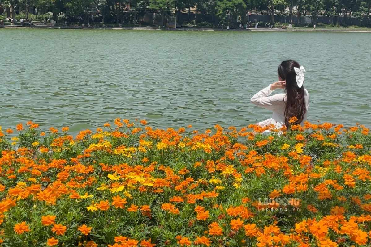 Không gian bờ hồ thêm thơ mộng khi nhiều thảm hoa được đầu tư, trang hoàng. Ảnh: Thanh Bình