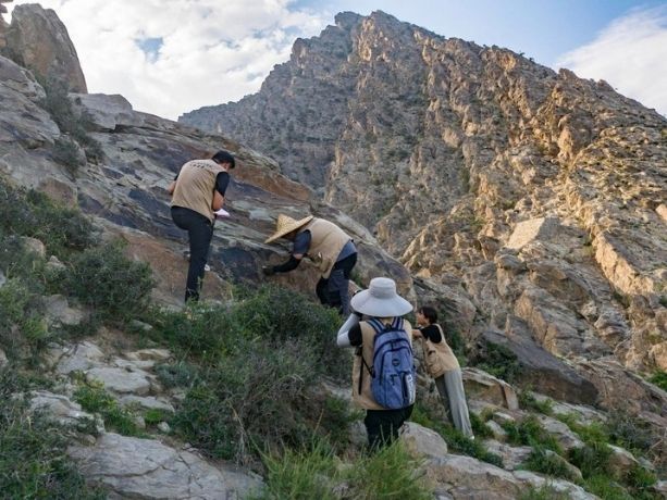 Survey of Ha Lan Mountain Stone Carving Art Relic seen from a drone on July 23, 2025. Photo: Xinhua
