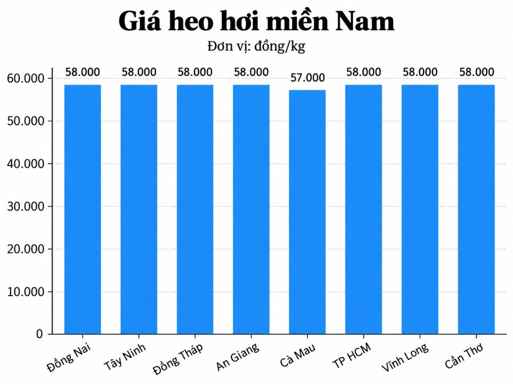 Giá heo hơi hôm nay