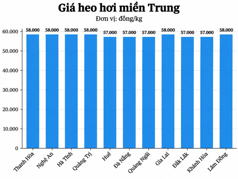 Giá heo hơi hôm nay tại khu vực miền Trung.