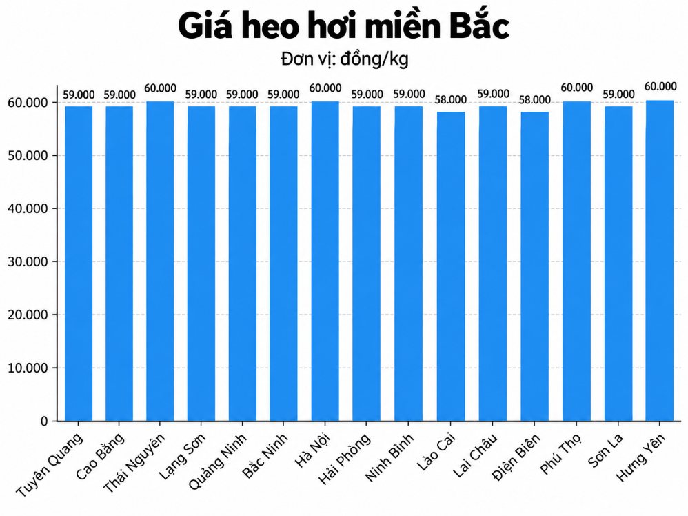 Giá heo hơi hôm nay tại khu vực miền Bắc. Đồ họa: AI