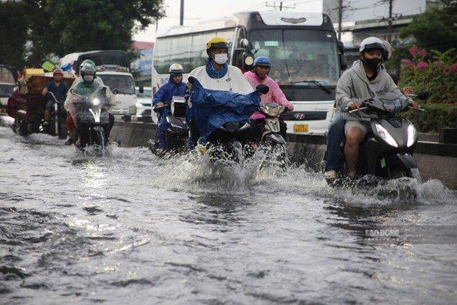南部地域では明日から大雨が増加すると予想されています。9. 写真:ミン・タム(2026年にホーチミン市で撮影)
