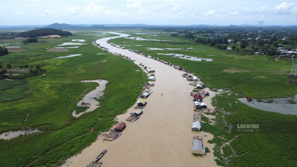 Flood warning may occur on the Dong Nai River and on the La Nga River at alarm level 1. Photo: HAC