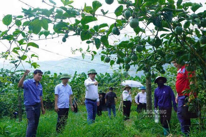 Lào Cai đang khơi thông nguồn lực để doanh nghiệp có quy mô vừa và nhỏ có điều kiện phát triển. Ảnh: Đinh Đại (chụp ngày 4.9.2026)