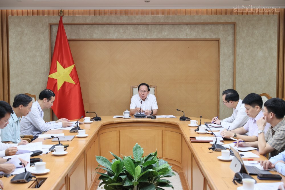 Các đại biểu tham dự cuộc họp. Ảnh: chinhphu.vn/Thu Sa