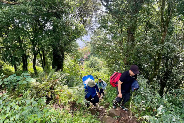 The route to conquer Ngu Chi Son peak (Ngu Chi Son commune, Lao Cai province) is about 7 km long, with many steep and dangerous sections. Photo: Organizing Committee