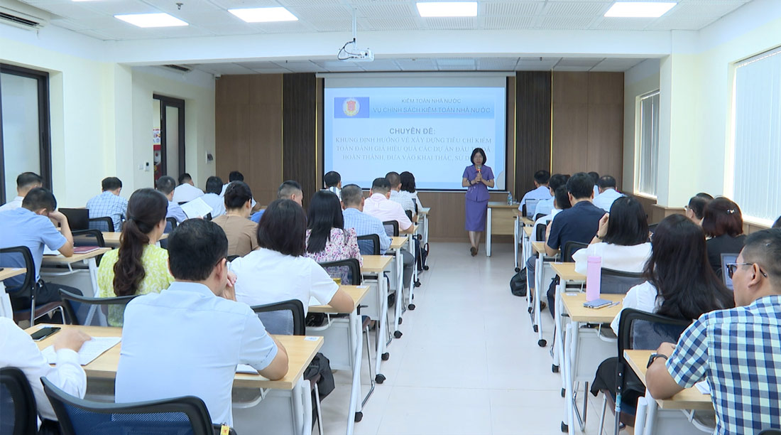 Training capacity to evaluate investment project efficiency for state auditors