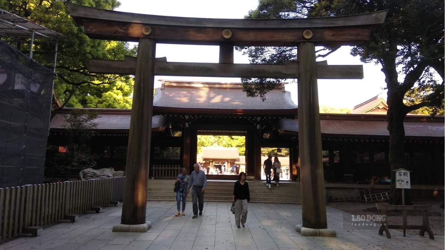 Một góc đền Meiji giữa không gian xanh của Tokyo. Ảnh: Phương Anh  