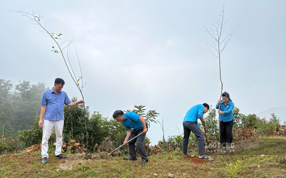 Trade union members join hands to keep the green in the highlands (photo taken on September 9). Photo: An Vi
