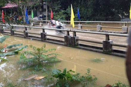 Lũ dâng cao khiến cầu bị ngập. Ảnh: DT