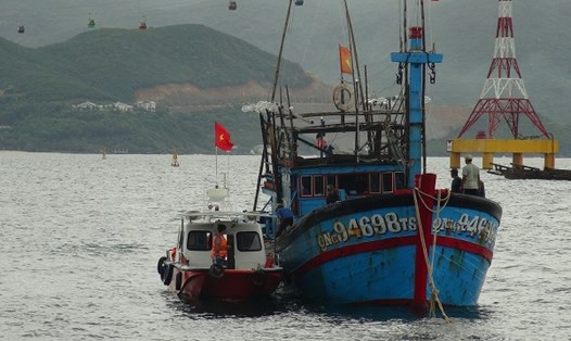 Các ngư dân của tàu cá được trung chuyển bằng ca nô vào bờ. Ảnh: Châu Tường