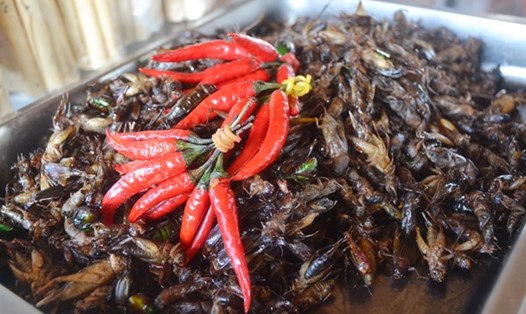 Không chỉ được chế biến độc đáo mà món ăn côn trùng ở Campuchia còn được trình bày bắt mắt.