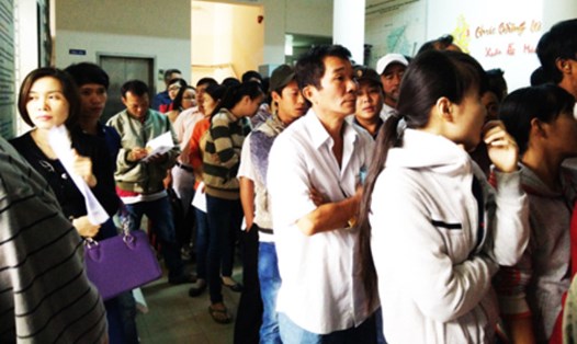Quá tải cấp đổi giấy phép lái xe tại Khánh Hòa vì tin đồn thất thiệt. (Ảnh minh họa theo VTV.vn)