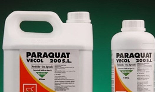 Việc loại bỏ thuốc bảo vệ thực vật chứa hoạt chất 2.4 D và Paraquat là cần thiết (Ảnh minh họa, theo Tạp chí Cao su)