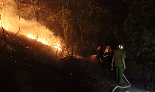 Đám cháy rừng phòng hộ tại Sóc Sơn (Hà Nội) đã được dập tắt. Ảnh: FB Van Thang