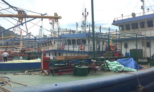 Những chiếc tàu ngư dân vay tiền từ BIDV do Cty Nam Triệu đóng đã hư hỏng nằm bờ tại Cảng cá Đề Gi (huyện Phù Cát, Bình Định). Ảnh: Theo NNVN.