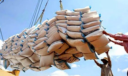 Thủ tướng đặt mục tiêu xuất khẩu gạo đạt 4 triệu tấn vào năm 2030. Ảnh: P.V