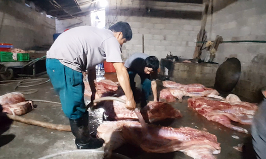 Cảnh chế biến lợn chết thành thịt hun khói ở Cao Bằng mà PV Lao Động xâm nhập, điều tra. Ảnh: Lãng Quân