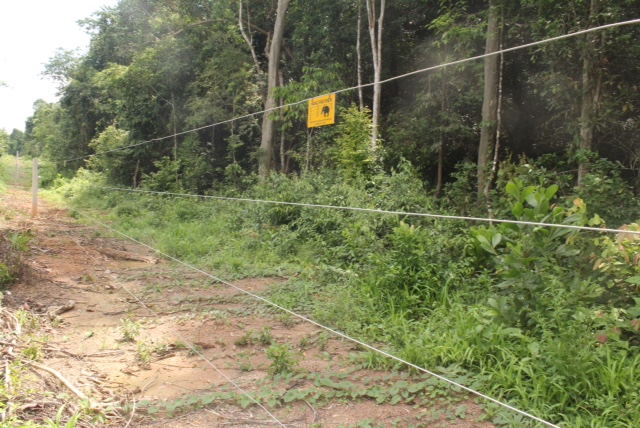 Hàng rào điện tử ngăn cách người - voi ở Đồng Nai: “Chống chỉ định ...