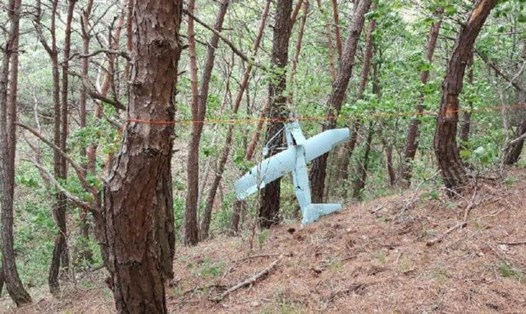 Vật thể được cho là máy bay không người lái của Triều Tiên được phát hiện tại Hàn Quốc ngày 9.6. Ảnh: Reuters