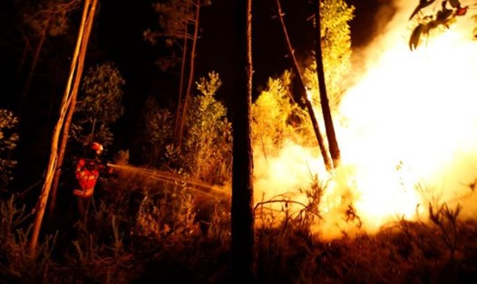 Vụ cháy rừng ở khu vực Pedrogao Grande khiến 57 người thiệt mạng. Ảnh: Reuters