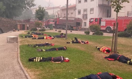 Bức ảnh những người lính cứu hỏa Bồ Đào Nha nghỉ ngơi đang gây "bão" trên mạng xã hội. Ảnh: T.P.N