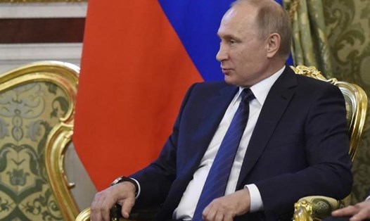 Tổng thống Nga Vladimir Putin trong cuộc hội đàm với Chủ tịch Nước Trần Đại Quang. Ảnh: Reuters