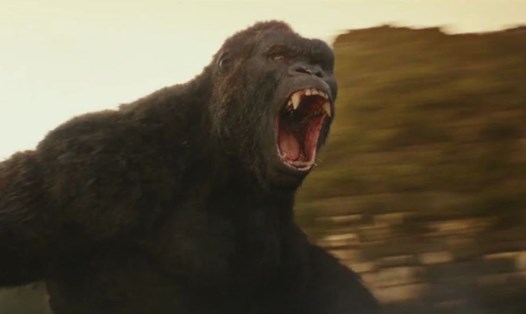 Một cảnh trong "Kong: Skull Island".  Ảnh: Internet