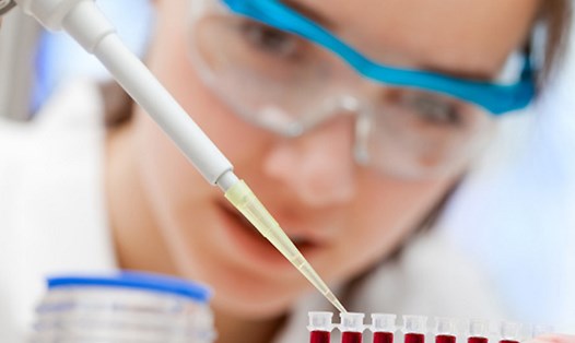 Tế bào gốc được nghiên cứu trong phòng thí nghiệm - (Ảnh: Shutterstock)