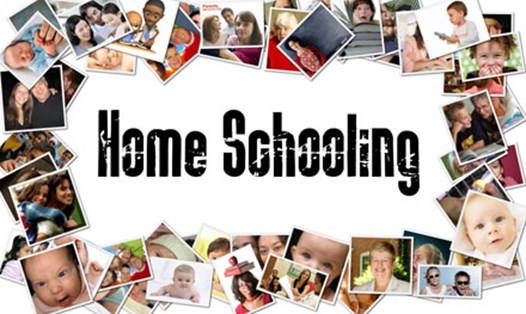 Học tại nhà (home schooling) đã tồn tại  trên thế giới từ lâu nhưng ở Việt Nam  hiện nay còn chưa phổ biến.