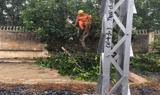 Công nhân Chi nhánh Lưới điện cao thế Nghệ An chặt tỉa cây xanh để tránh nguy cơ gây sự cố lưới điện khi bão Talas đổ bộ.