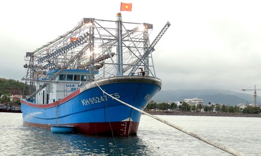 Nhiều ngư dân Khánh Hòa xin chuyển từ tàu vỏ thép sang vỏ composite. Ảnh: N.B