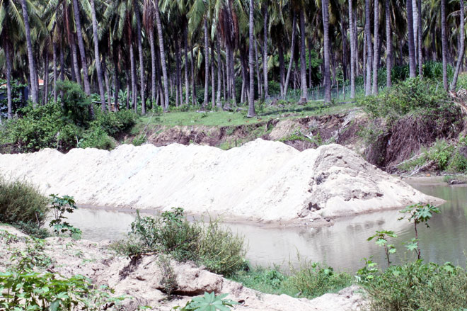 Cát sau khi nạo vét được doanh nghiệp tập kết giữa dòng sông Cạn và trên vườn dừa. Ảnh: N.B