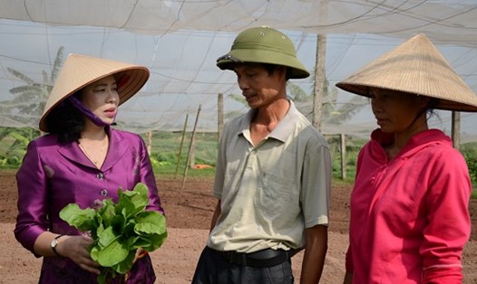 Phó Bí thư thường trực Thành ủy Hà Nội Ngô Thị Thanh Hằng thăm mô hình sản xuất nông nghiệp tại huyện Hoài Đức. Ảnh TTTĐ.