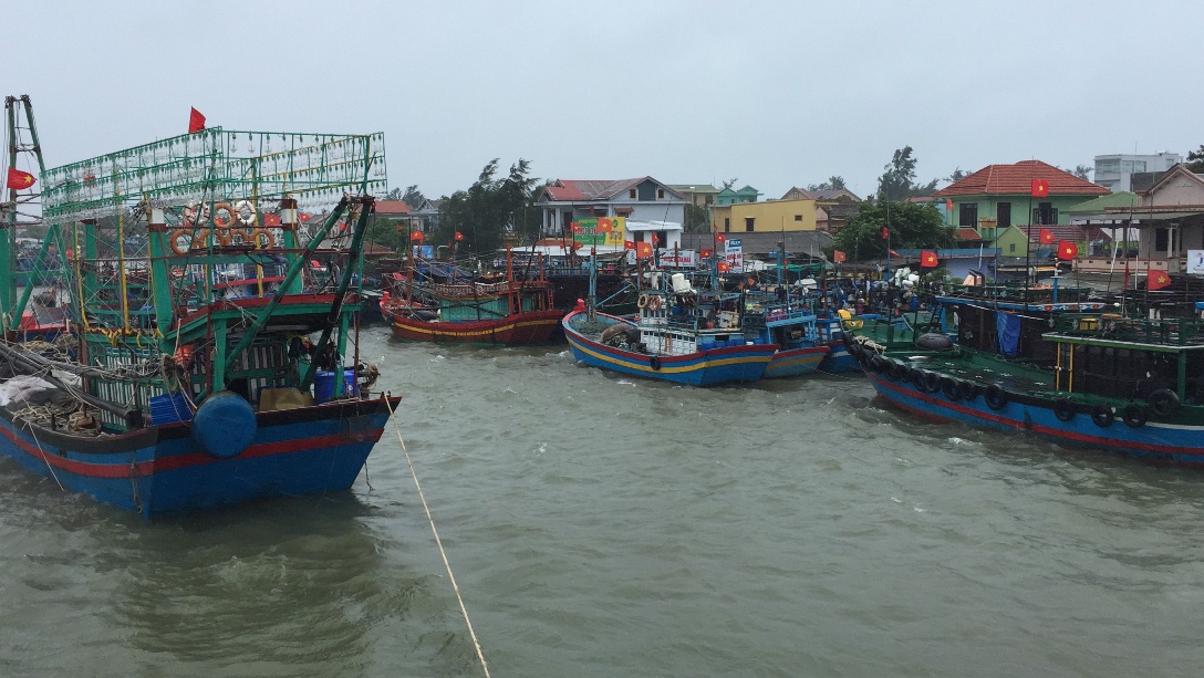 Tàu thuyền ngư dân huyện Phú Vang vào cảng Thuân An tránh bão số 4: Ảnh: NĐT