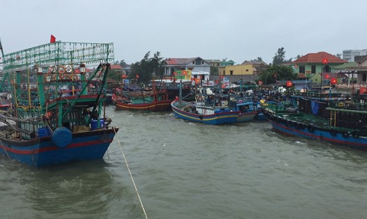 Tàu thuyền ngư dân huyện Phú Vang vào cảng Thuân An tránh bão số 4: Ảnh: NĐT