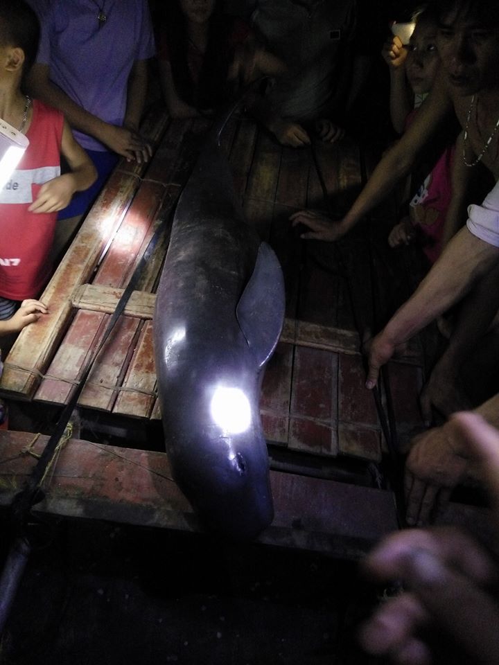 Người dân làm lễ an táng cho con cá lạ (ảnh Nhật Dũng)