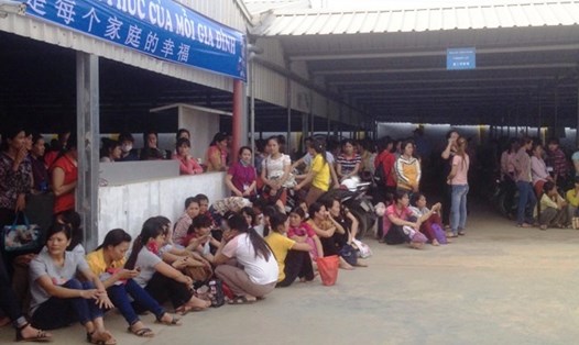 Gần 1.000 công nhân Công ty TNHH ANTONIA Việt Nam ngừng việc ngày 26.4. Ảnh: NT