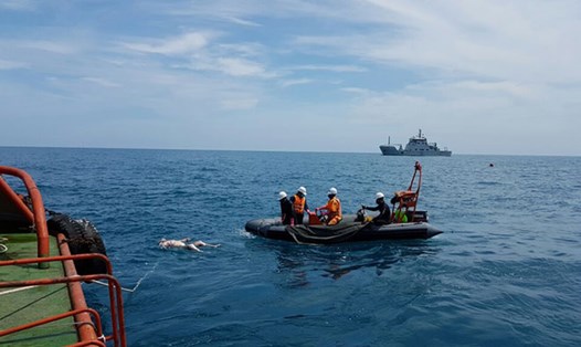 Công tác cứu nạn trong vụ chìm tàu Hải Thành 26-BLC ngày 28.3.2017 vừa qua. Ảnh: Duy Công