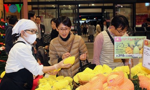 Người dân Nhật Bản hào hứng với việc mua xoài Cát Chu của Việt Nam. (Ảnh: VOV)