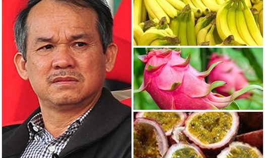  Tại Việt Nam, Lào và Campuchia, HNG đã tiến hành trồng 17 loại trái cây. Ảnh PV