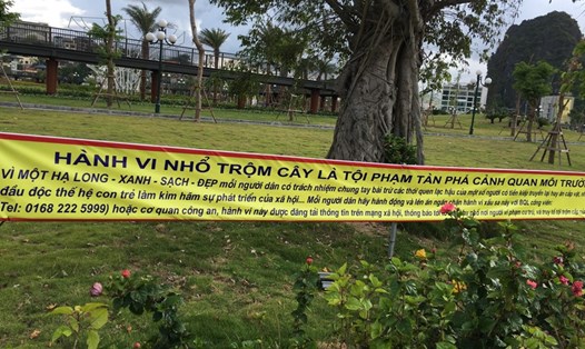 Gần 30 biển gây "sốc" nhằm bảo vệ cây hoa công viên. Ảnh: Nguyễn Hùng