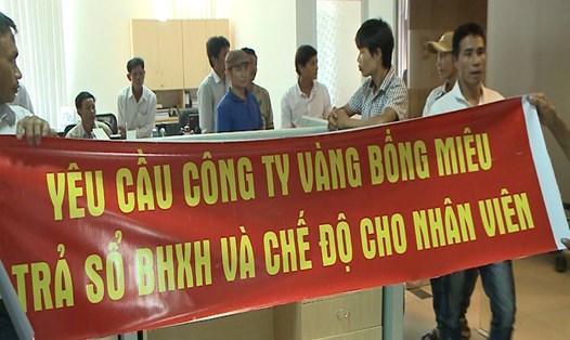 Các công nhân, kỹ sư của Cy Vàng Bồng Miêu yêu cầu lãnh đạo trả sổ BHXH nhưng không có lãnh đạo nào làm việc. Ảnh: Đỗ Vinh