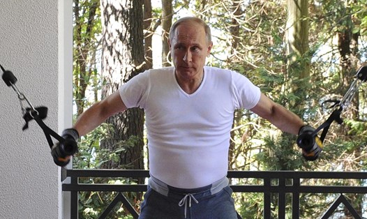 Tổng thống V.Putin tập gym ở Sochi, ngày 30.8.2015. Ảnh: Ria Novosti