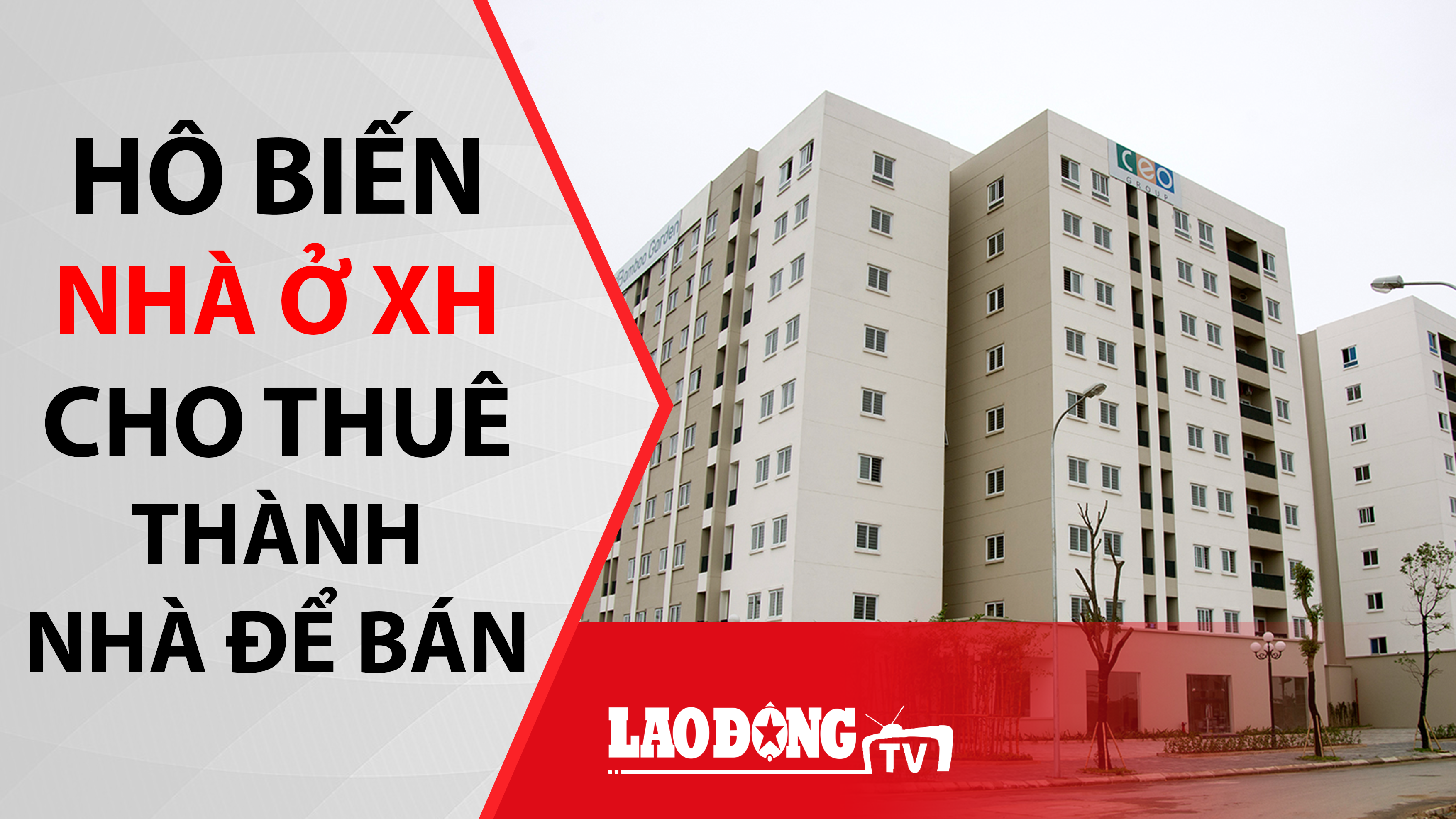 Kinh tế 24h: “Hô biến” NOXH cho thuê… thành nhà để bán; Ồ ạt mở bán vé tàu dịp Tết