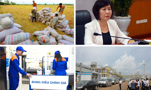Kinh tế 24h: Tài sản gia đình Thứ trưởng Hồ Thị Kim Thoa giảm 21 tỉ đồng; Vinafood 2 “hóa vàng” hàng trăm tỉ đồng