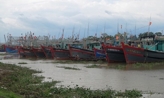 Tàu cá đã được neo đậu an toàn tại cảng cá Hoà Lộc. Ảnh: H.T