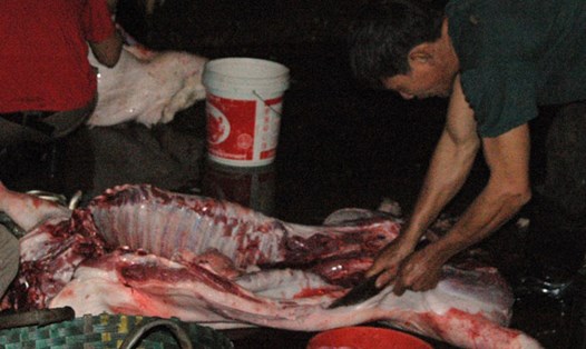 Biển hiệu công khai thu mua lợn chết ở ven Quốc lộ 1A địa bàn giáp ranh Hà Nội - Bắc Ninh. Ảnh: Tâm Am